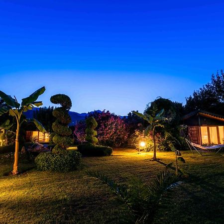 Etenna Beach Bungalows Cirali Exterior foto