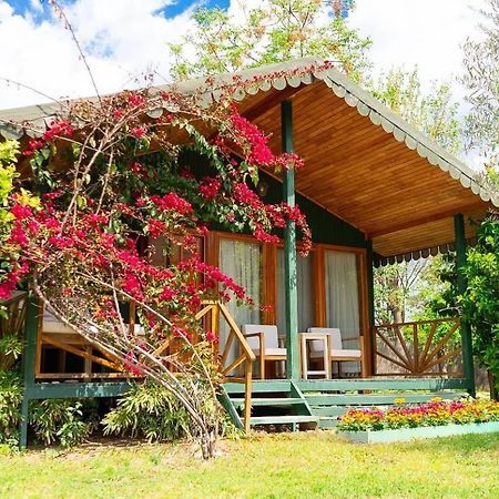 Etenna Beach Bungalows Cirali Exterior foto